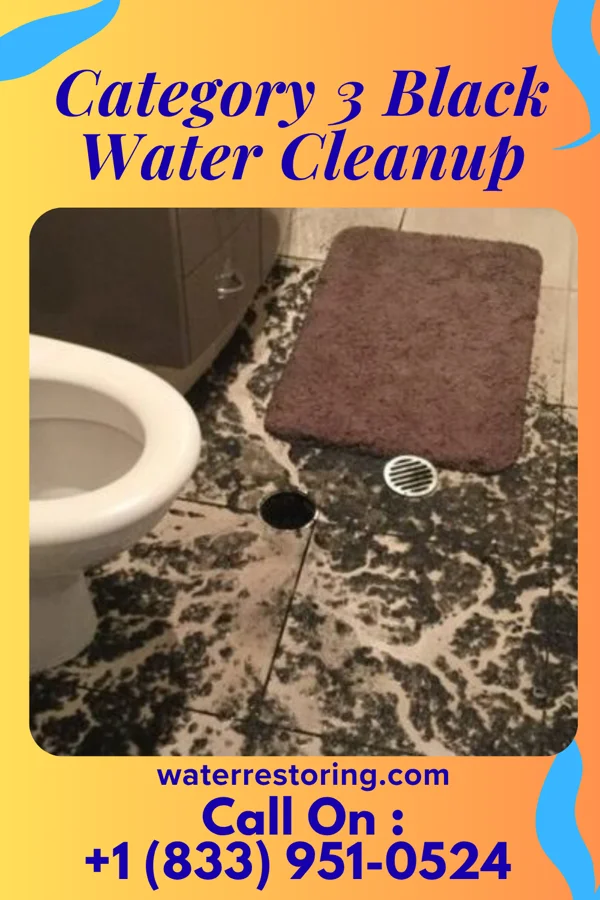 Category 3 Black Water Cleanup in Walnuttown, PA