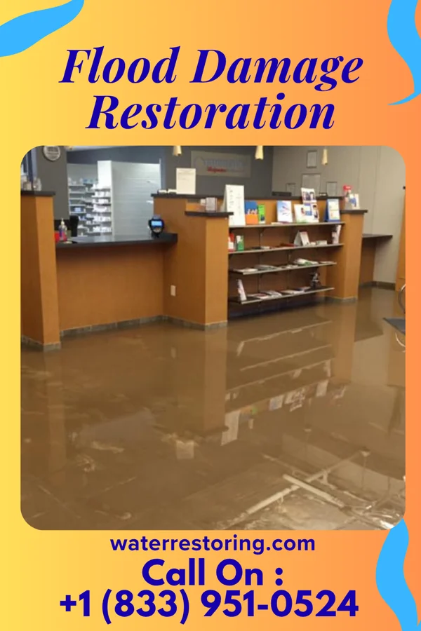 Flood Damage Restoration in Walnuttown, PA