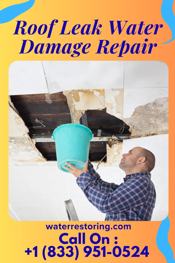 Roof Leak Water Damage Repair in Walnuttown, PA