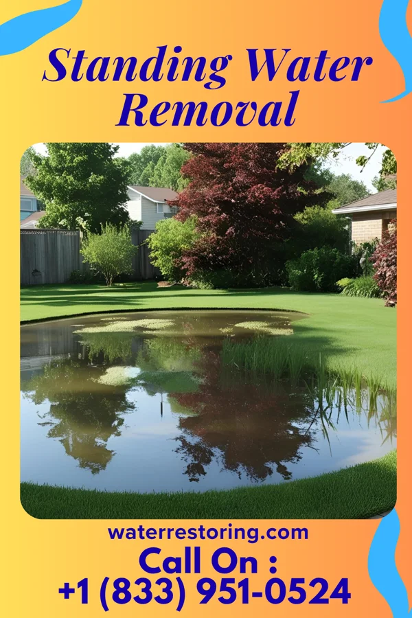 Standing Water Removal in Walnuttown, PA